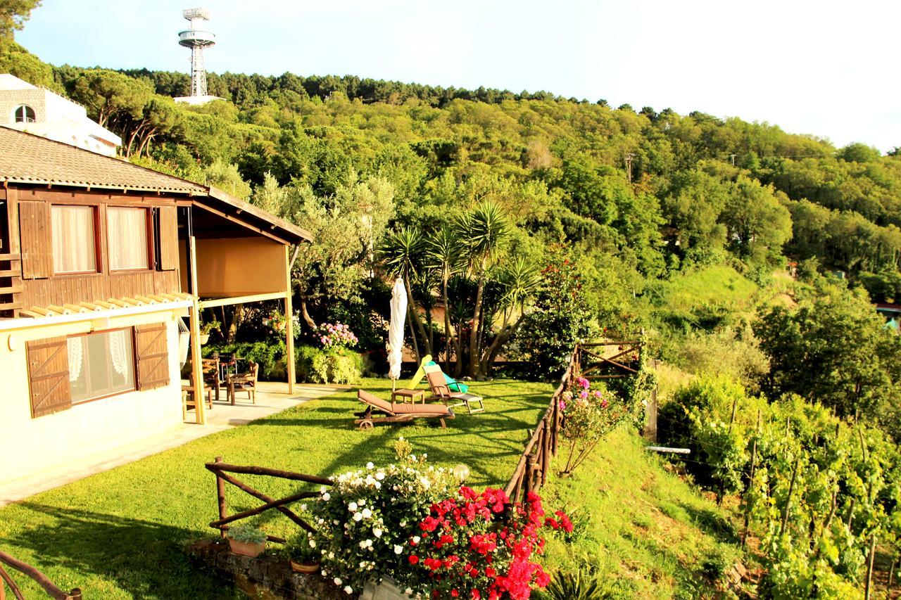 Вилла Chalet Annie Сорренто Экстерьер фото